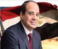 رئيس جامعة حلوان يهنئ الرئيس السيسي والشعب بذكرى انتصارات أكتوبر