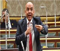 برلماني: إقامة السلام في المنطقة لن يتحقق سوى بإقامة دولة فلسطينية 