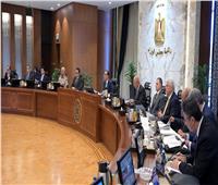 «الوزراء» يُوافق على إجراءات حوكمة منظومة استيراد سيارات ذوى الهمم‎