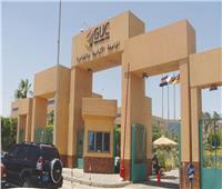 4 عاملين بالجامعة الألمانية بالقاهرة في قائمة ستانفورد لأفضل 2% من علماء العالم
