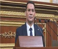 برلماني: زيارة الرئيس السيسي إلى أسمرة لها أبعاد استراتيجية ودلالات مهمة ‎