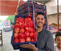 الرمان الأسيوطي من البداري يغزو أسواق الغرب والعالم العربي 