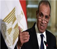 وزير الخارجية: مصر ستظل داعمة للتنمية بدول حوض النيل الشقيقة ‏
