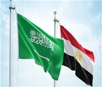 بيان مشترك يشيد بنتائج زيارة ولي العهد السعودي إلى مصر