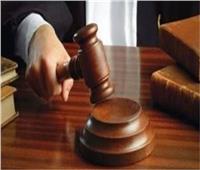 على طريقة ريا وسكينة.. تأجيل محاكمة تاجر فاكهة لقتله شخصا بشبين القناطر