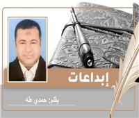 «الجمل العجوز» قصيدة للشاعر حمدي طه