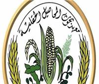 البحوث الزراعية ينظم ورشة عمل ختامية للنهوض بمحصول الشعير