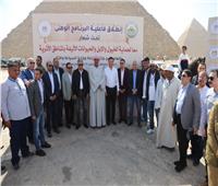 إطلاق البرنامج الوطني لرعاية وحماية الحيوانات الأليفة بالمناطق الأثرية | صور