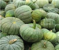 كنز صحي.. تعرف على فوائد اليقطين