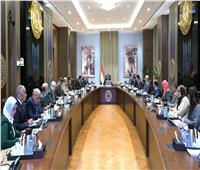 رئيس الوزراء يتابع مُستجدات تنفيذ المرحلة الأولى من مشروع تنمية مدينة رأس الحكمة