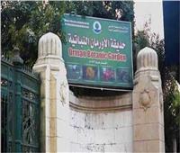 حقيقة قطع النخيل والأشجار النادرة داخل حديقة الأورمان التاريخية 