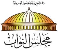 وقائع لا وجود لها.. نواب: حملة الشائعات المسعورة ضد مصر لن تحقق أهدافها 
