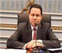 زراعة النواب توصي بإنتاج تقاوي قطن جيدة وتوفيرها بالجمعيات الزراعية‎