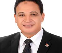 محمد زيدان.. عميدا لكلية التربية النوعية بجامعة المنوفية   
