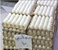 بـ150 جنيهًا.. استمرار طرح البيض التركي في المجمعات الاستهلاكية بالإسكندرية 