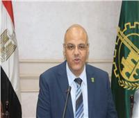 محافظة القليوبية: التحفظ على الحمير المذبوحة واتخاذ الإجراءات القانونية