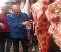 ضبط نصف طن لحوم وأسماك غير صالحة للاستهلاك الآدمي بالمنوفية 