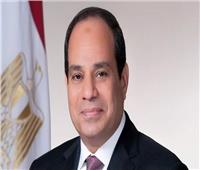 بعد استبعاد 716 من الإرهاب.. رئيس حزب الريادة: الرئيس لا ينسى المواطن 