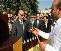 محافظ القاهرة يفتتح مهرجان العسل المصري السابع بحديقة الحرية بالزمالك