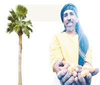 بين السماء والأرض| طالع النخل.. محترف في لعبة الخطر