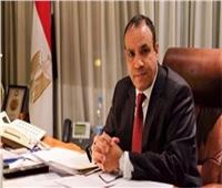 وزير الخارجية: نتعاون مع مالي في مجالات الطاقة وتوليد الكهرباء والصحة
