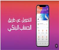 أستاذ اقتصاد: تفعيل البنك المركزي خدمة تحويل الأموال إلى مصر يحقق الشمول المالي