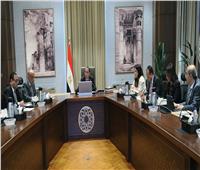 توجيه مهم من رئيس الوزراء بشأن محطة جبل الزيت لتوليد الكهرباء