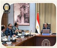 ضوابط للإفراج عن سيارات ذوي الهمم الأبرز..نشاط رئيس الوزراء في أسبوع| صور