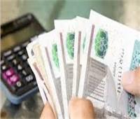 خبير اقتصادي: الدعم النقدي يلبي احتياجات المواطنين ذوي الدخل المنخفض 