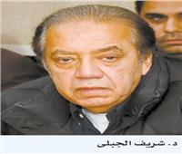 شريف الجبلي: ملف الصناعة شهد حراكاً كبيراً مع تولي «الوزير» المسئولية