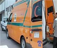 مقتل شاب على يد آخرين بطعنات نافذة بالقلب في الدقهلية 