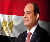 «الصحفيين العرب» يوجه الشكر للدولة المصرية والرئيس لتخصيص مقر للاتحاد