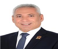رئيس جامعة المنيا يهنئ الرئيس السيسي بمناسبة العام الميلادي الجديد