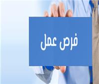 التقديم خلال شهر.. 3215 فُرصة عمل في 35 شركة تنتظر شباب 8 محافظات