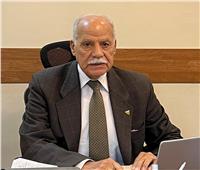 العربى الناصري: 2025 سيكون عام العبور الحقيقي إلى الجمهورية الجديدة‎