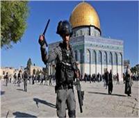 مستوطنون يهاجمون منازل فلسطينيين بالضفة الغربية المحتلة