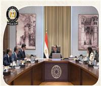 أبرز أنشطة رئيس مجلس الوزراء هذا الأسبوع لقاءات واجتماعات.. ومتابعة للمشروعات القومية| صور