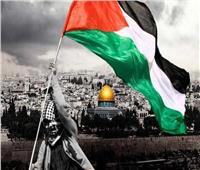 «حلم الدولة الفلسطينية».. مصر تحمل راية قضية العرب لـ79 عامًا