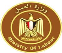 راتب 9000 جنيه.. 39 وظيفة جديدة للشباب في مجال صناعة الملابس