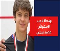 وفاة مفاجئة تثير حزن أسرة الإسكواش.. ووزير الرياضة يعلق| فيديوجراف 