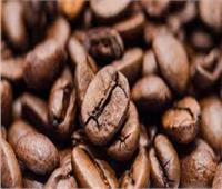 1.3 مليار دولار صادرات الهند من البن  خلال الأربع سنوات الماضية