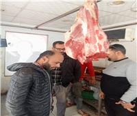 ضبط 6 أطنان لحوم وهياكل دواجن وكبدة وأسماك غير صالحة بالجيزة | صور
