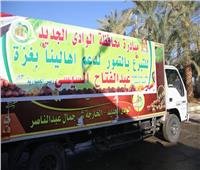 قافلة مساعدات غذائية وتمور من الوادي الجديد لأهالي فلسطين 