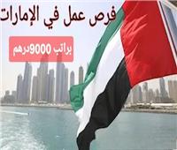 براتب 123000 جنيها شهريًا..  شروط وموعد التقديم في وظائف الإمارات