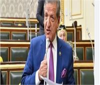 برلماني: الدولة تستهدف التيسير على المشروعات المسجلة بالضرائب‎ 