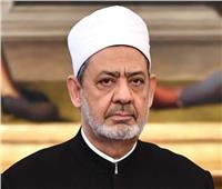 "بيت الزكاة والصدقات": وصول أكبر قافلة مساعدات لشمال سيناء تمهيدًا لدخولها قطاع غزة