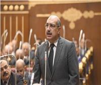 برلماني: مصر داعمة للشعب الفلسطيني.. ولن تقبل التهجير تحت أي ظرف ‎