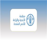 «الفاو»: تدمير 75% من حقول المحاصيل الزراعية في غزة بسبب الحرب 