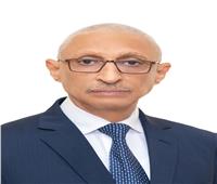 محافظ شمال سيناء يستقبل وفدًا من الخبراء الأجانب