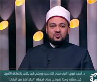 أحمد نبوي: سيرة النبي نموذج عملي للتربية بالقدوة